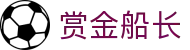 赏金船长 - 画面流畅且节奏感极强的电子游艺佳作